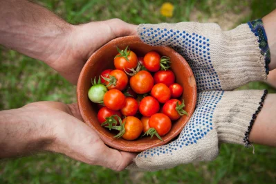 Analisis de alimentos